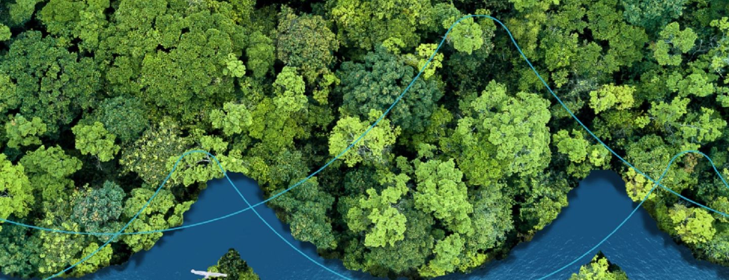 Iguá comemora o Dia Mundial do Meio Ambiente Iguá comemora o Dia Mundial do Meio Ambiente