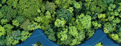 Iguá comemora o Dia Mundial do Meio Ambiente