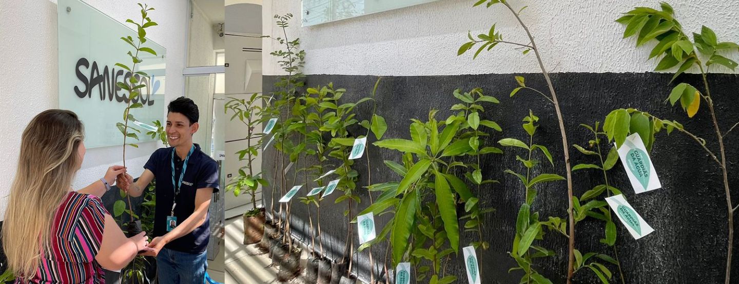 No Dia da Árvore, Iguá celebra conservação de nascentes e matas ciliares com ações de educação socioambiental No Dia da Árvore, Iguá celebra conservação de nascentes e matas ciliares com ações de educação socioambiental
