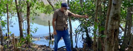 Ações no Complexo Lagunar de Jacarepaguá contam com a consultoria do biólogo Mário Moscatelli Ações no Complexo Lagunar de Jacarepaguá contam com a consultoria do biólogo Mário Moscatelli
