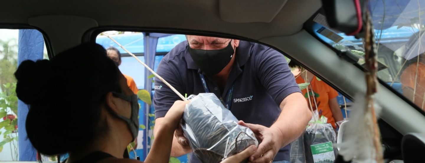 Região comemora Dia da Árvore com entregas de mudas no sistema drive thru Região comemora Dia da Árvore com entregas de mudas no sistema drive thru