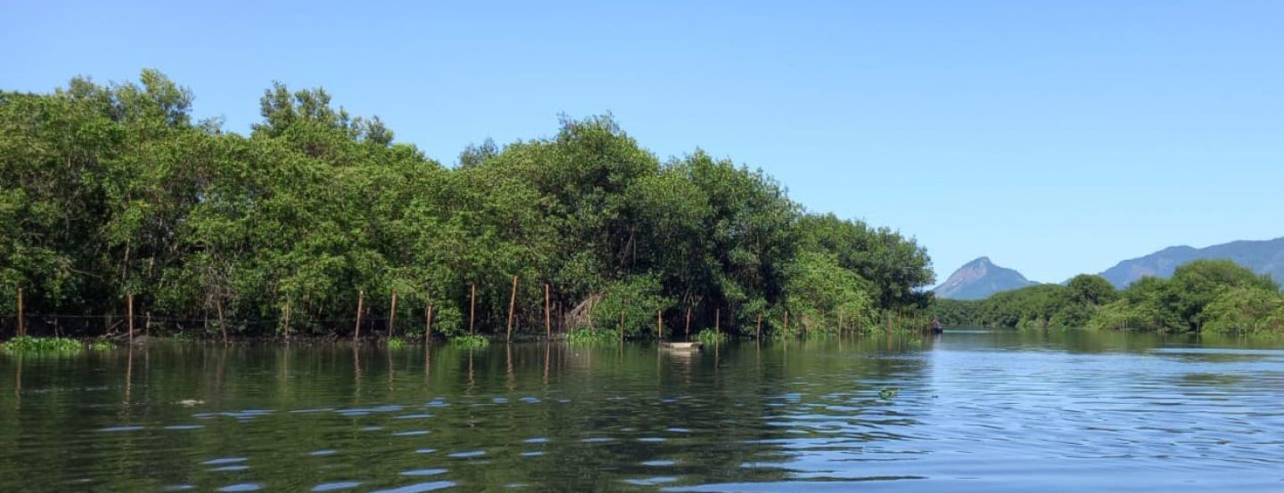 Lagoa do Camorim passa por mutirão de limpeza Lagoa do Camorim passa por mutirão de limpeza