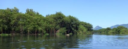 Lagoa do Camorim passa por mutirão de limpeza Lagoa do Camorim passa por mutirão de limpeza