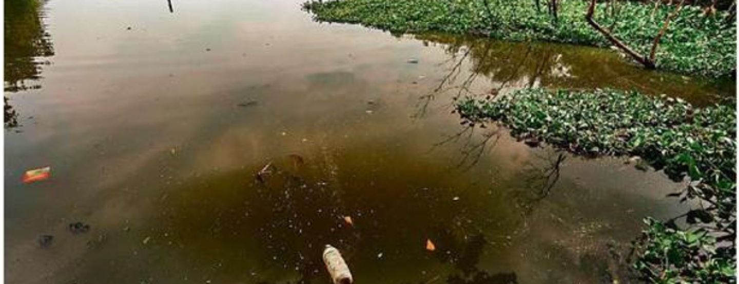 Limpeza das lagoas de Jacarepaguá e da Barra começa já no mês que vem Limpeza das lagoas de Jacarepaguá e da Barra começa já no mês que vem