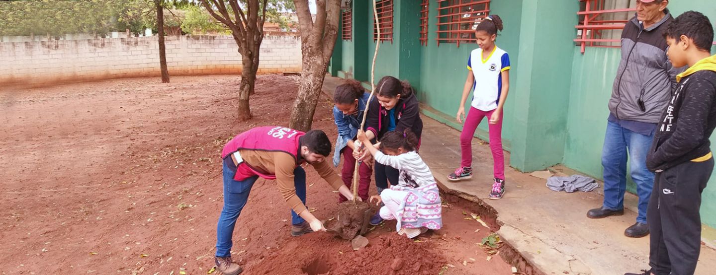 Águas Andradina e Águas Castilho participam de plantios em homenagem ao Dia da Árvore Águas Andradina e Águas Castilho participam de plantios em homenagem ao Dia da Árvore