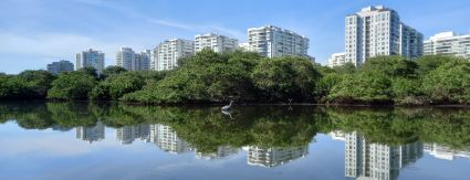 Coletores de tempo seco serão instalados em áreas próximas do Complexo Lagunar Coletores de tempo seco serão instalados em áreas próximas do Complexo Lagunar