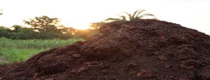 Esgoto doméstico produzido em Cuiabá vira adubo e será destinado de forma gratuita à agricultura familiar Esgoto doméstico produzido em Cuiabá vira adubo e será destinado de forma gratuita à agricultura familiar