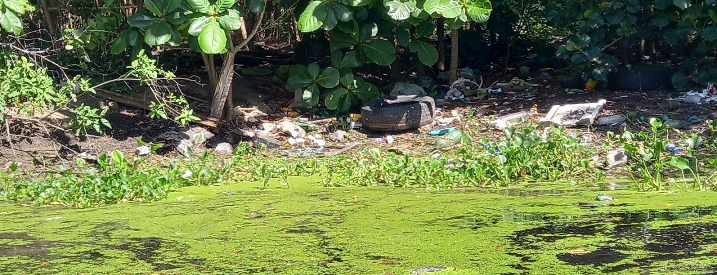 INEA concede à Iguá parte do licenciamento para a remoção de resíduos na Lagoa do Camorim INEA concede à Iguá parte do licenciamento para a remoção de resíduos na Lagoa do Camorim