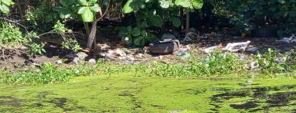 INEA concede à Iguá parte do licenciamento para a remoção de resíduos na Lagoa do Camorim INEA concede à Iguá parte do licenciamento para a remoção de resíduos na Lagoa do Camorim