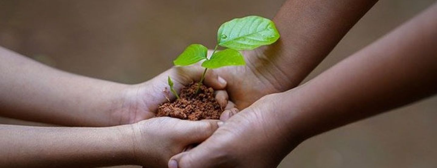 Iguá realiza live para tirar dúvidas sobre edital de projetos socioambientais Iguá realiza live para tirar dúvidas sobre edital de projetos socioambientais