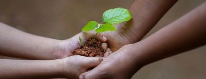 Iguá realiza live para tirar dúvidas sobre edital de projetos socioambientais Iguá realiza live para tirar dúvidas sobre edital de projetos socioambientais