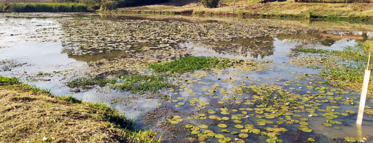 ESTIAGEM: SANESSOL INTENSIFICA CAMPANHA DE CONSUMO CONSCIENTE ESTIAGEM: SANESSOL INTENSIFICA CAMPANHA DE CONSUMO CONSCIENTE