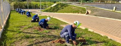 Sanessol realiza plantio de mudas no Dia Mundial do Meio Ambiente em Mirassol Sanessol realiza plantio de mudas no Dia Mundial do Meio Ambiente em Mirassol