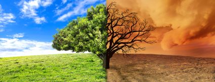 Saneamento com responsabilidade ambiental é saída para mitigar desastres Saneamento com responsabilidade ambiental é saída para mitigar desastres